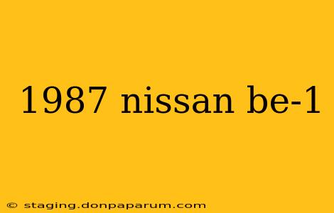 1987 nissan be-1