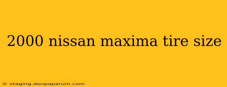 2000 nissan maxima tire size