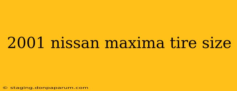 2001 nissan maxima tire size