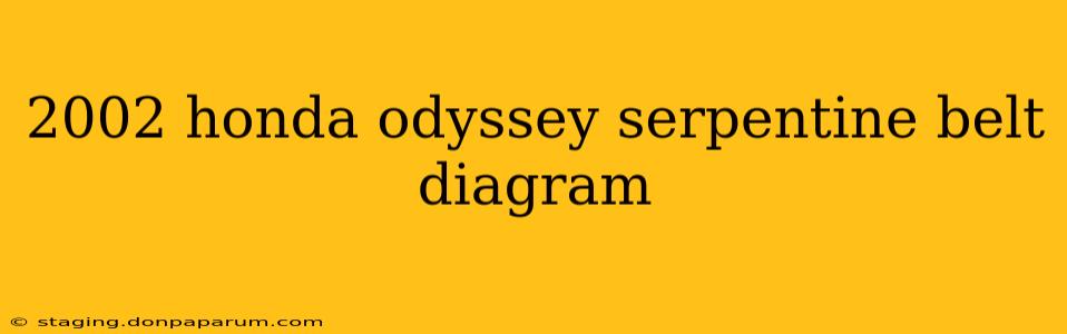 2002 honda odyssey serpentine belt diagram