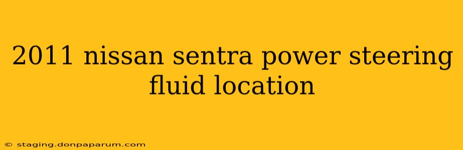 2011 nissan sentra power steering fluid location