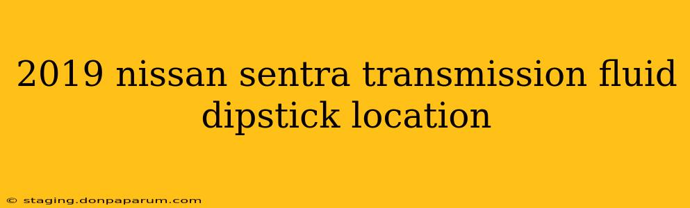 2019 nissan sentra transmission fluid dipstick location