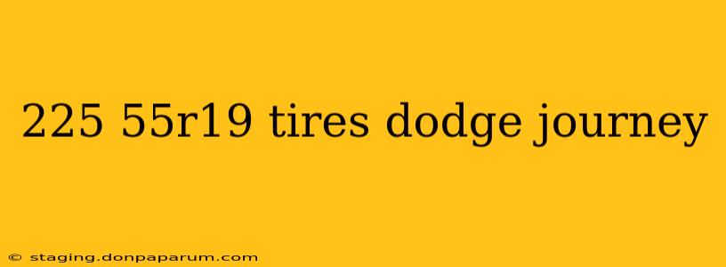 225 55r19 tires dodge journey