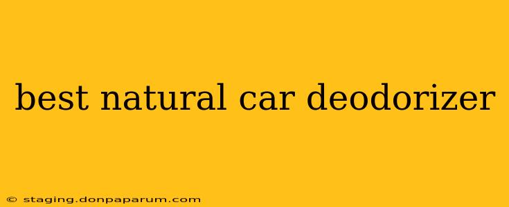 best natural car deodorizer