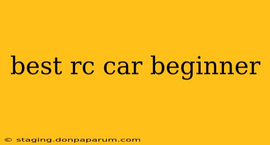 best rc car beginner