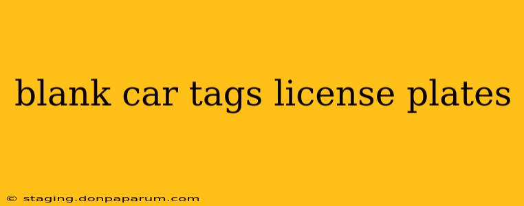 blank car tags license plates