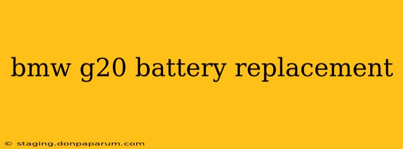 bmw g20 battery replacement