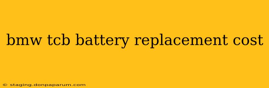 bmw tcb battery replacement cost