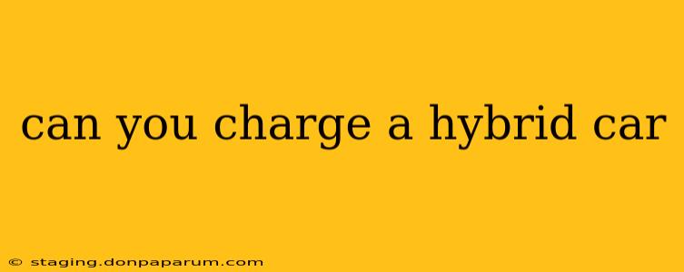 can you charge a hybrid car