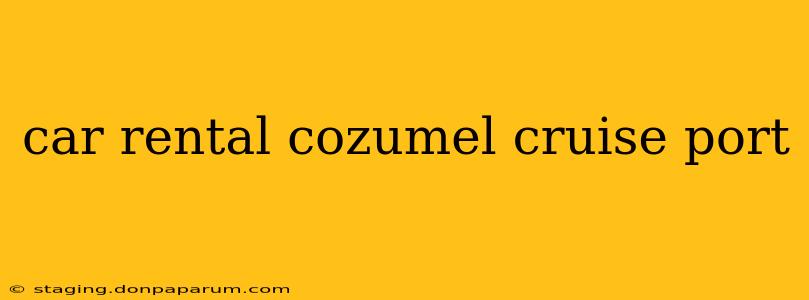 car rental cozumel cruise port