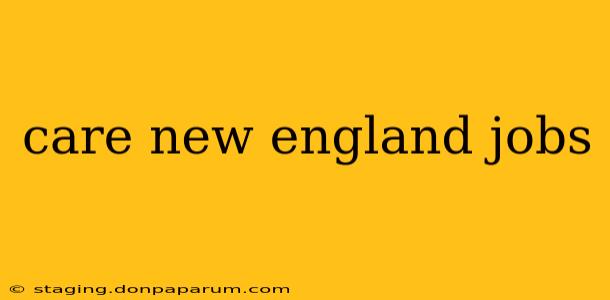 care new england jobs