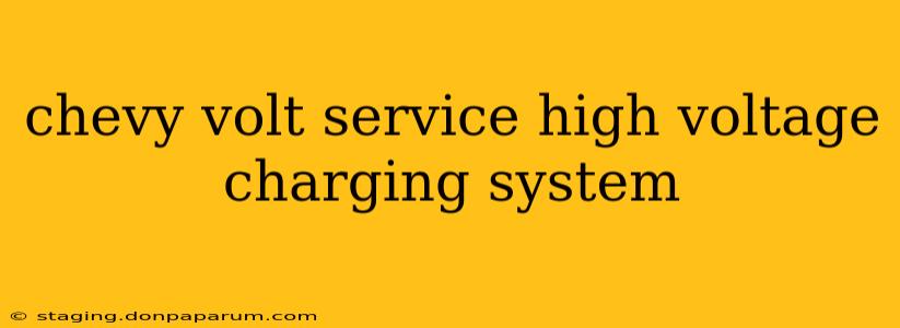 chevy volt service high voltage charging system