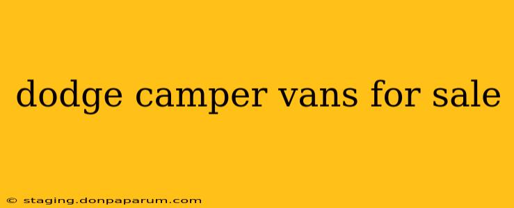 dodge camper vans for sale