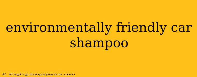 environmentally friendly car shampoo