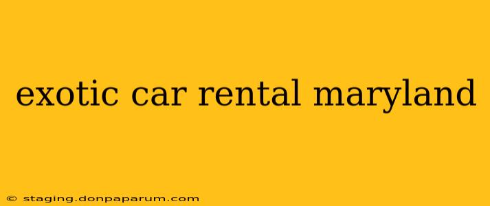 exotic car rental maryland