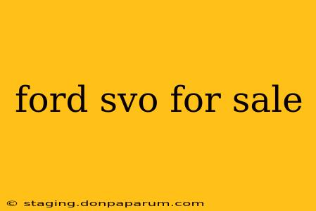 ford svo for sale