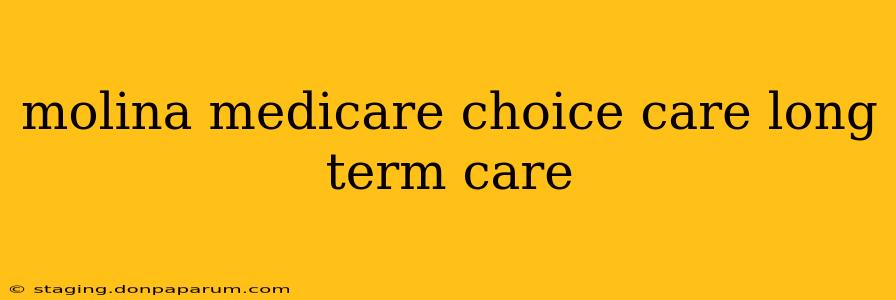 molina medicare choice care long term care