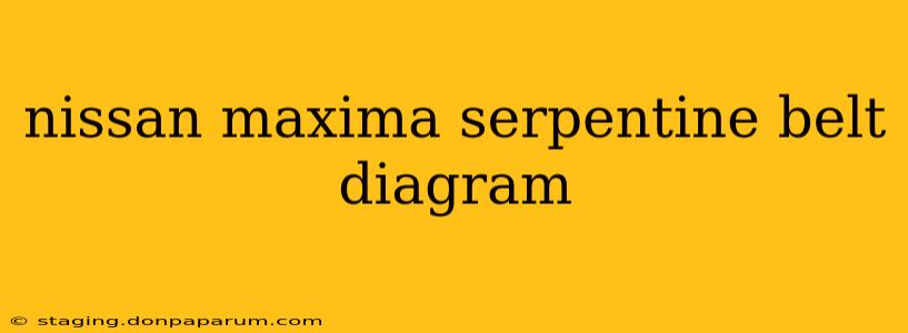 nissan maxima serpentine belt diagram