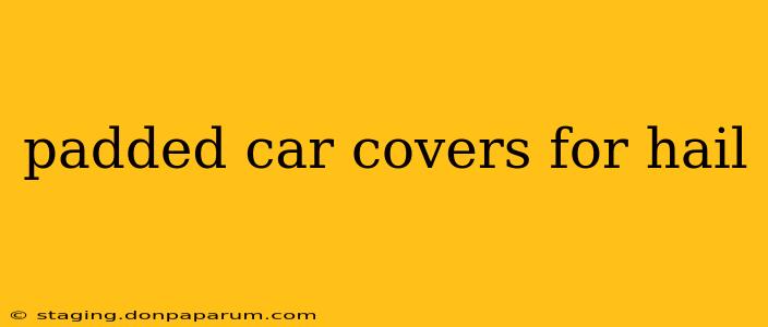 padded car covers for hail