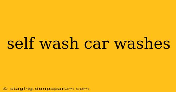 self wash car washes