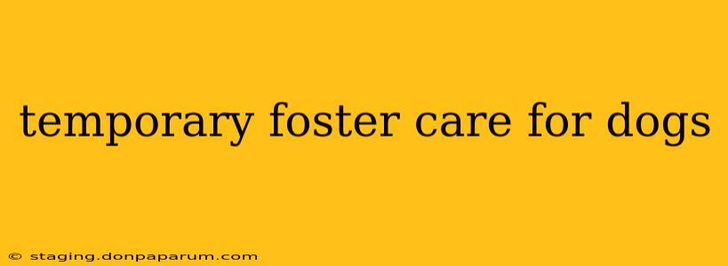 temporary foster care for dogs