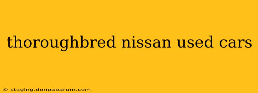 thoroughbred nissan used cars