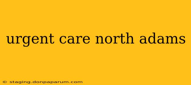 urgent care north adams