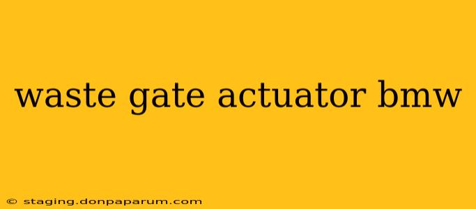 waste gate actuator bmw